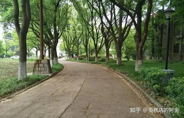 我的胸可以回炉重造吗_胸部再造手术_胸造影是什么原因