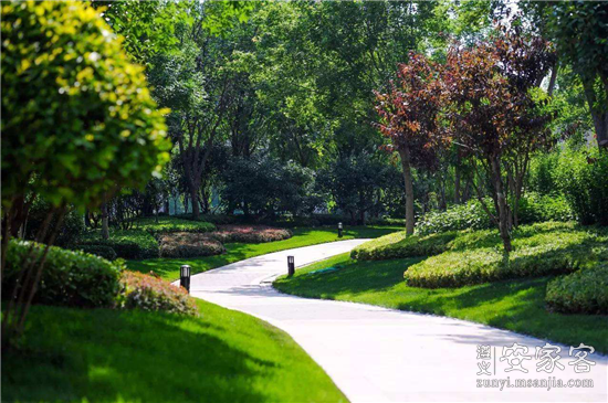 街头篮球婚书离婚后还存在吗_街头篮球结婚离婚奖励_街头篮球离婚奖励结婚后能领吗