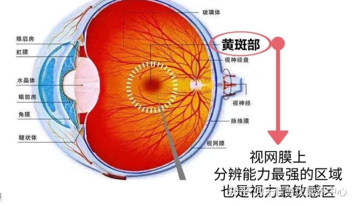 古古怪怪蓝光膜-蓝光膜：神奇的屏幕保护者，让你的眼睛远离伤害
