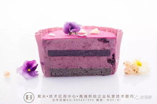 卷蛋糕的游戏,卷蛋糕游戏体验攻略