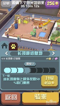 疯狂动物园安卓游戏,体验趣味互动之旅