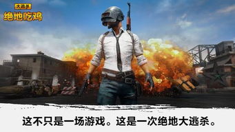 下载吃鸡游戏安卓,畅享刺激战场体验